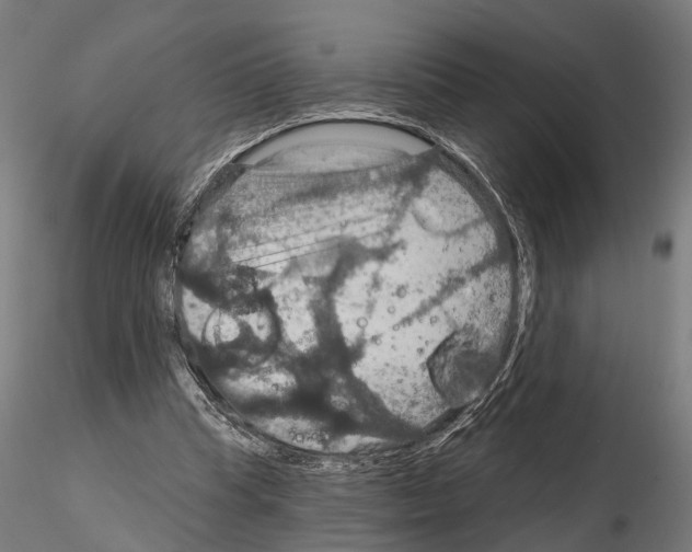 X0000115200345200912091140