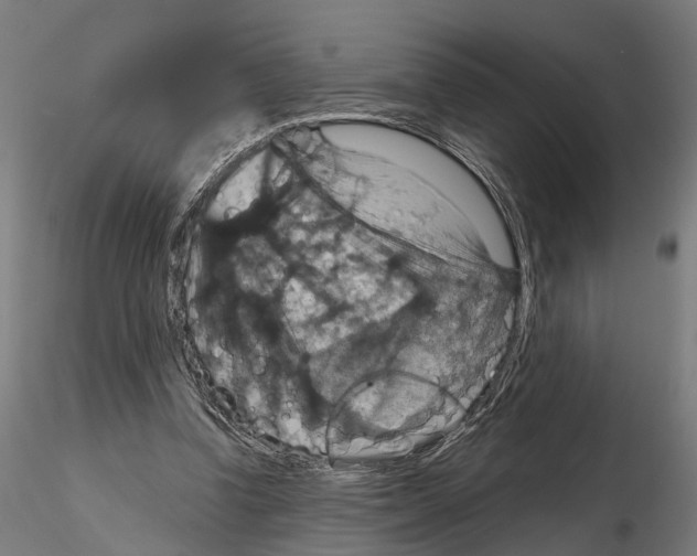 X0000115200346200912091140