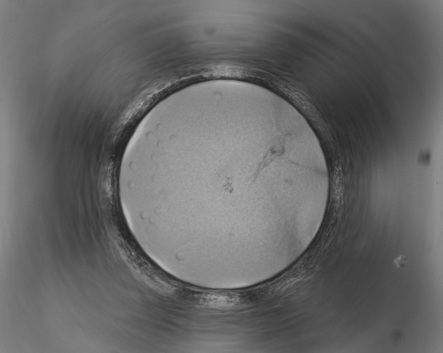 X0000115200347200912091140