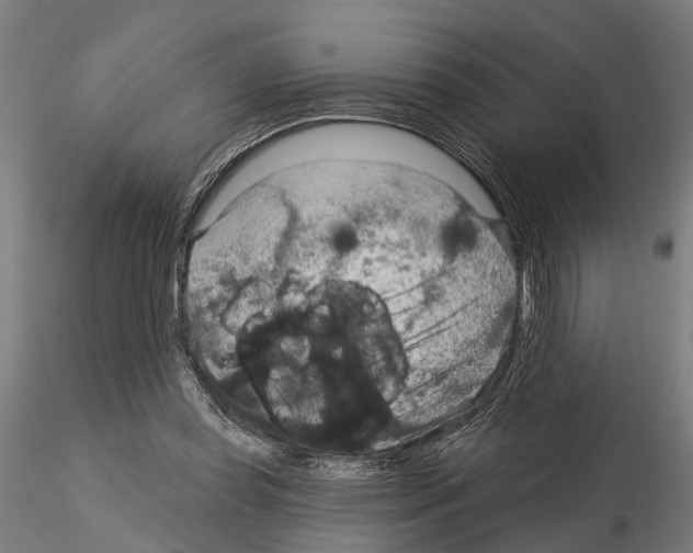 X0000115200349200912091140