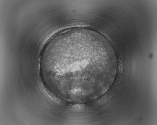 X0000115200350200912091140