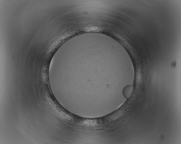 X0000115200353200912091140