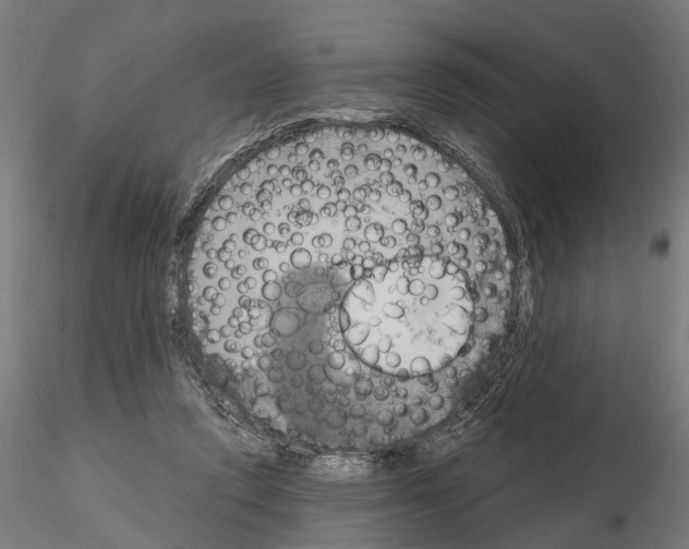 X0000115200354200912091140