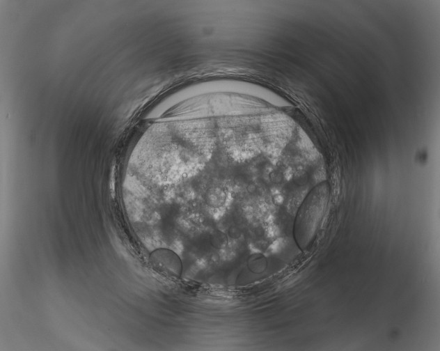 X0000115200358200912091140