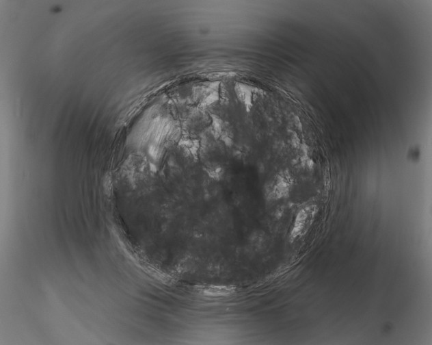 X0000115200359200912091140