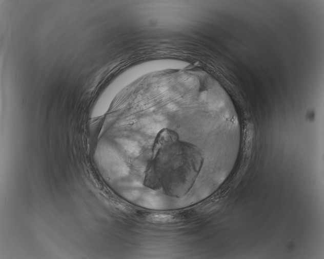 X0000115200361200912091140