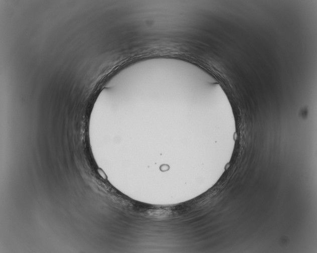 X0000115200362200912091140