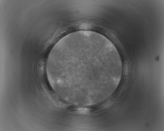 X0000115200363200912091140