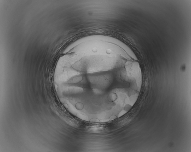 X0000115200366200912091140