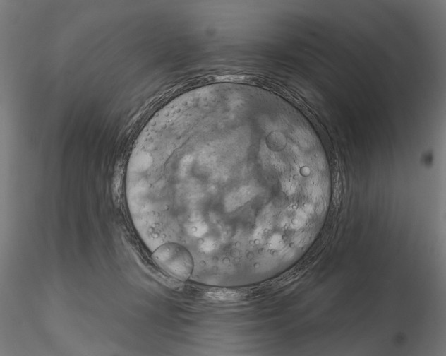 X0000115200367200912091140