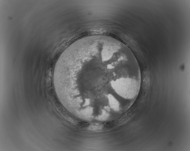 X0000115200369200912091140