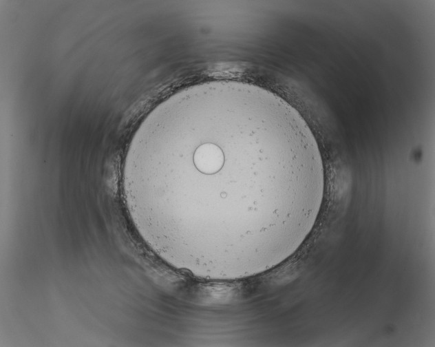 X0000115200370200912091140