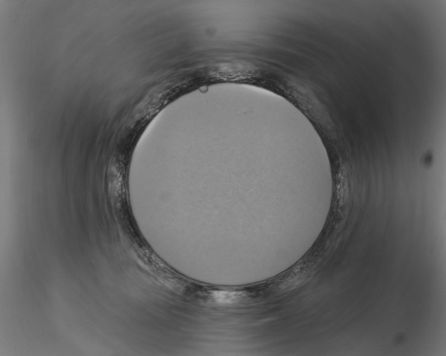 X0000115200371200912091140