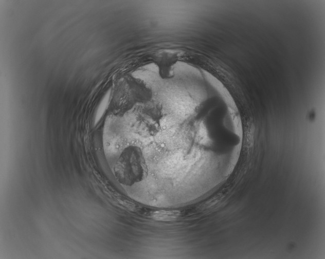 X0000115200373200912091140