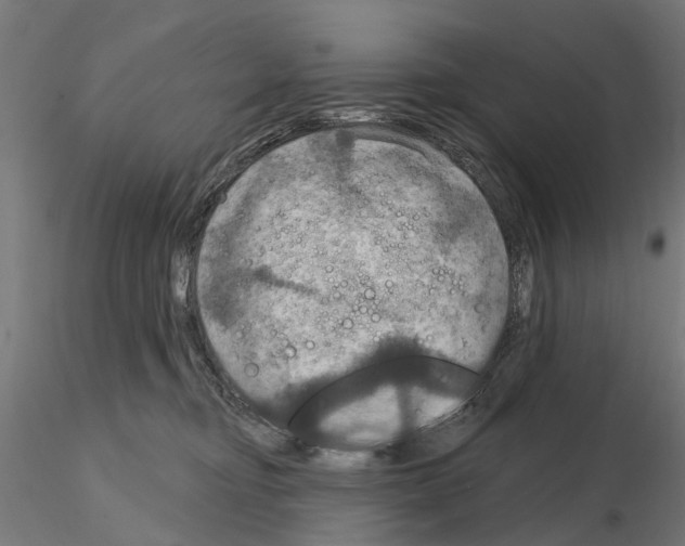 X0000115200374200912091140