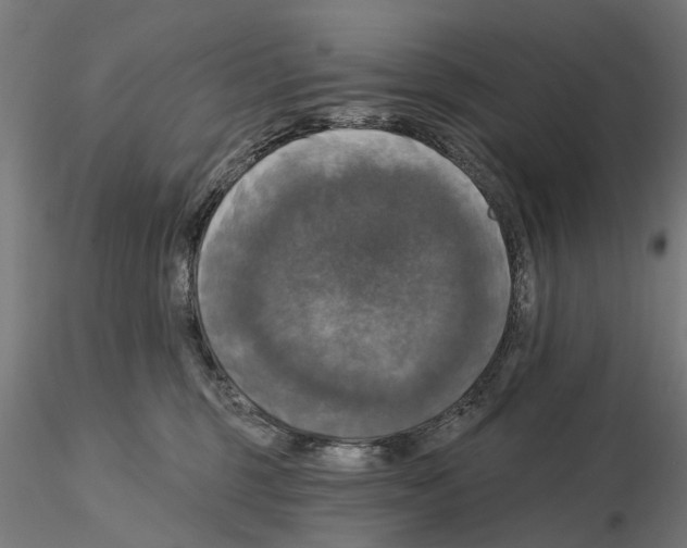 X0000115200375200912091140