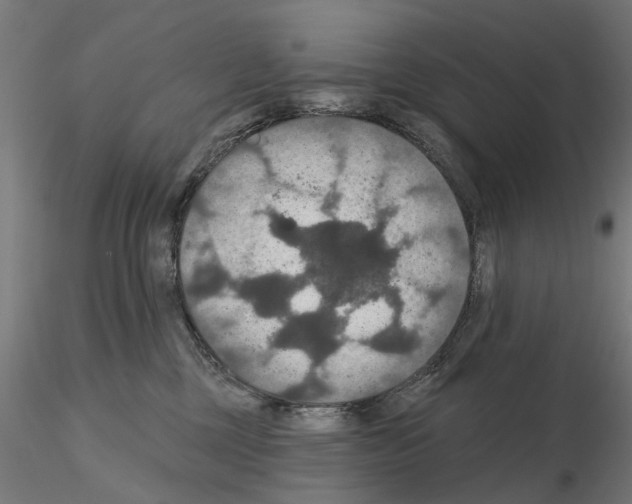 X0000115200377200912091140