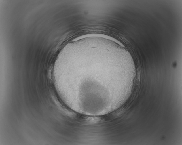 X0000115200379200912091140