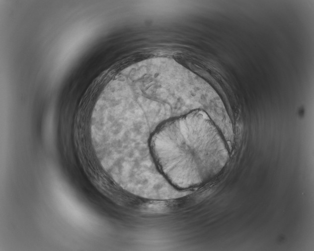 X0000115200381200912091140