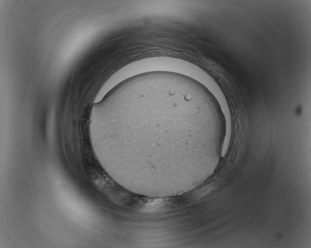 X0000115200382200912091140