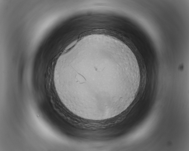 X0000115200383200912091140