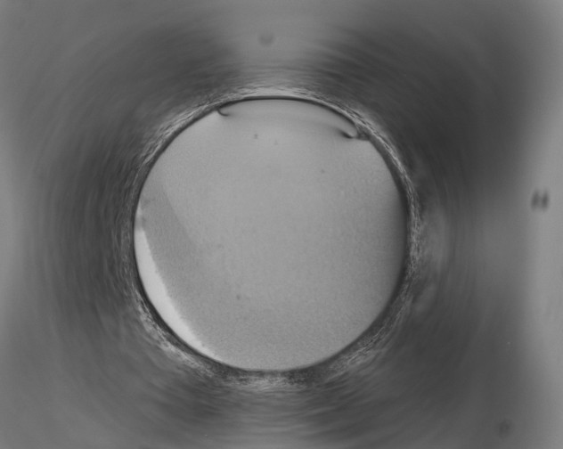 X0000115200385200912091139