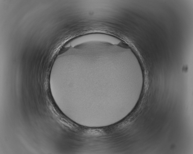 X0000115200386200912091139