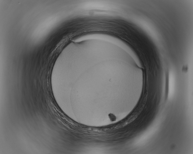 X0000115200387200912091139