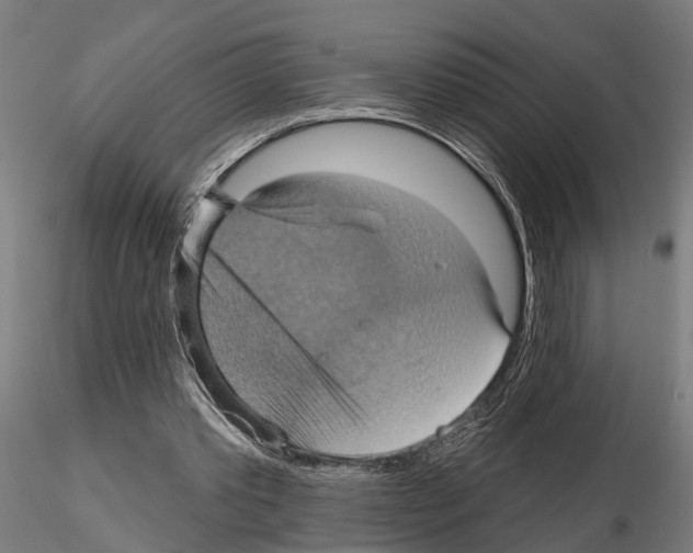 X0000115200389200912091139