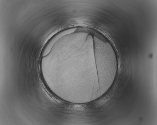 X0000115200390200912091139