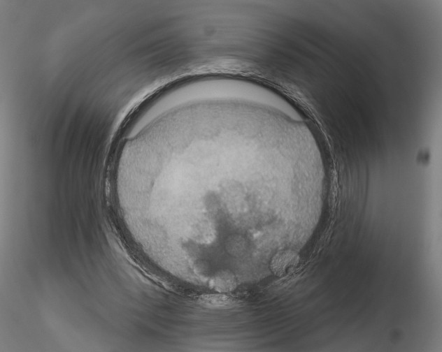 X0000115200392200912091139