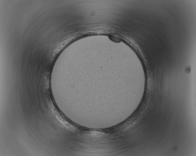 X0000115200393200912091139