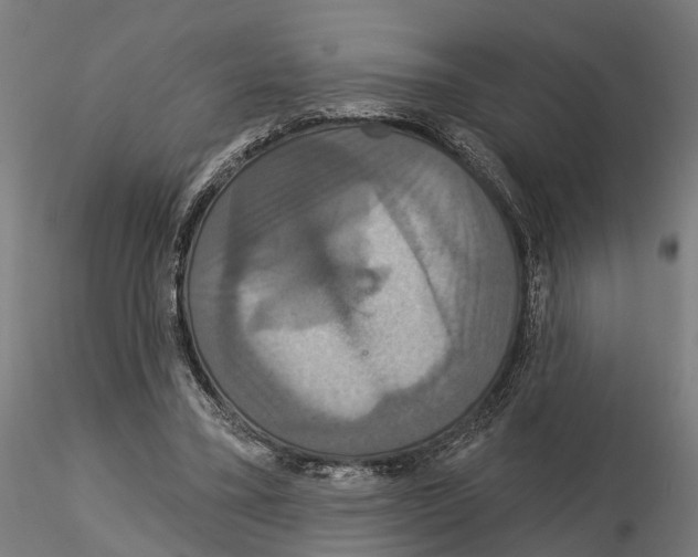 X0000115200395200912091139