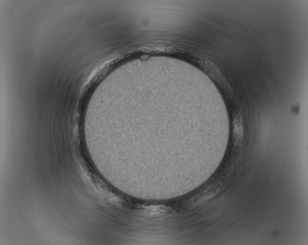 X0000115200396200912091139