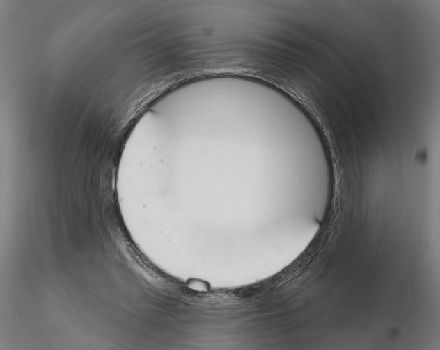 X0000115200397200912091139