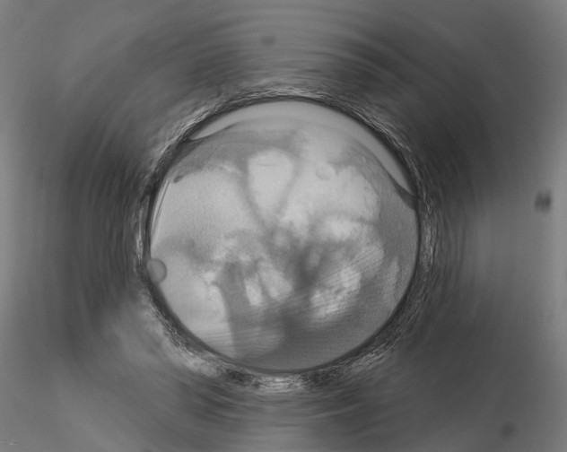 X0000115200398200912091139