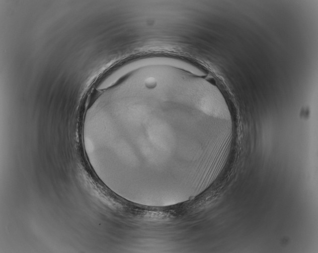 X0000115200399200912091139