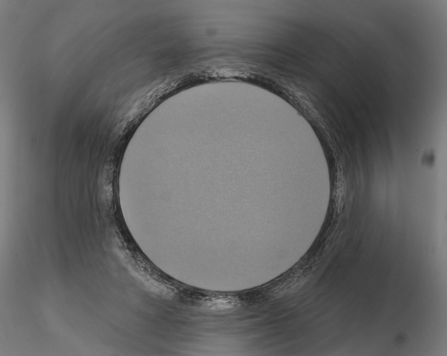 X0000115200402200912091139