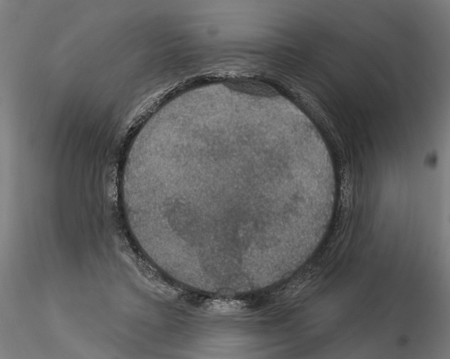 X0000115200403200912091139