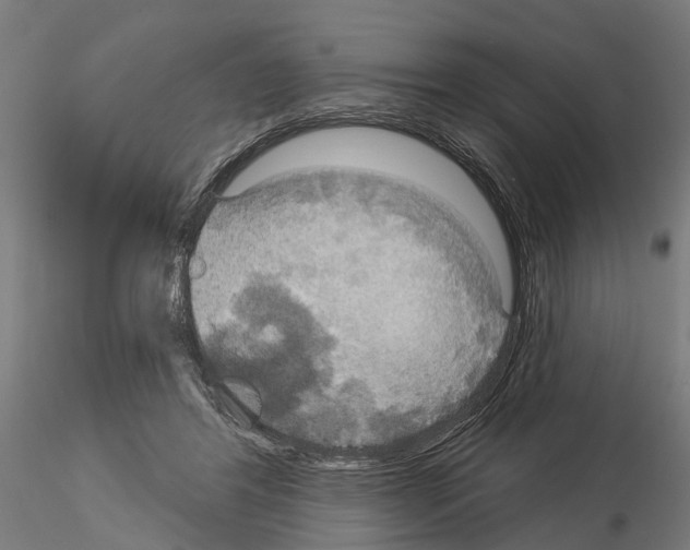 X0000115200404200912091139