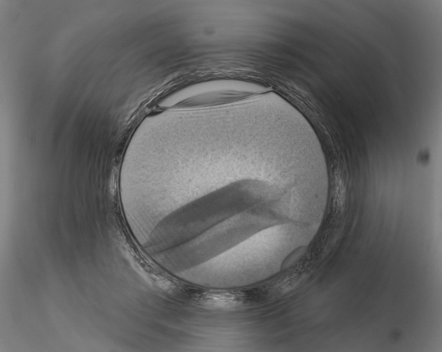 X0000115200405200912091139