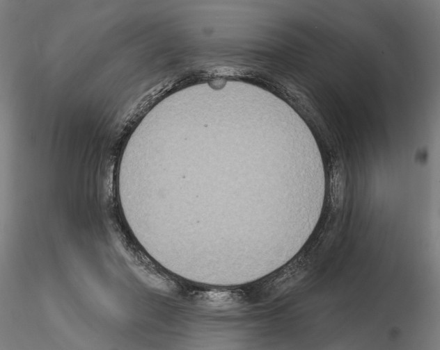 X0000115200406200912091139