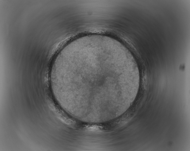 X0000115200407200912091139