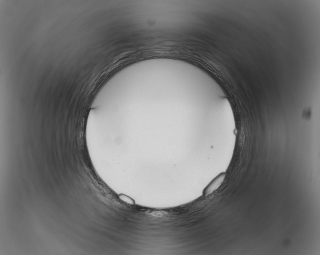 X0000115200409200912091139