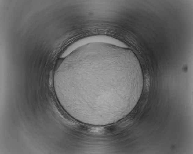 X0000115200410200912091139