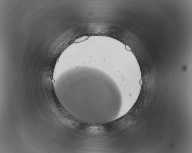 X0000115200415200912091139