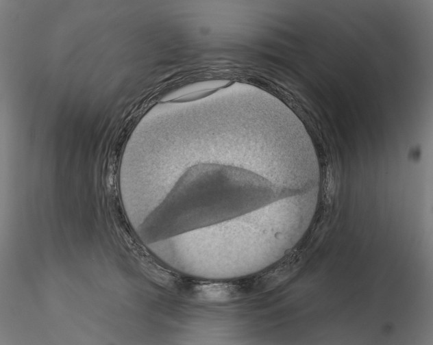 X0000115200417200912091139