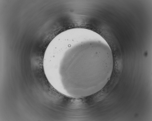 X0000115200419200912091139