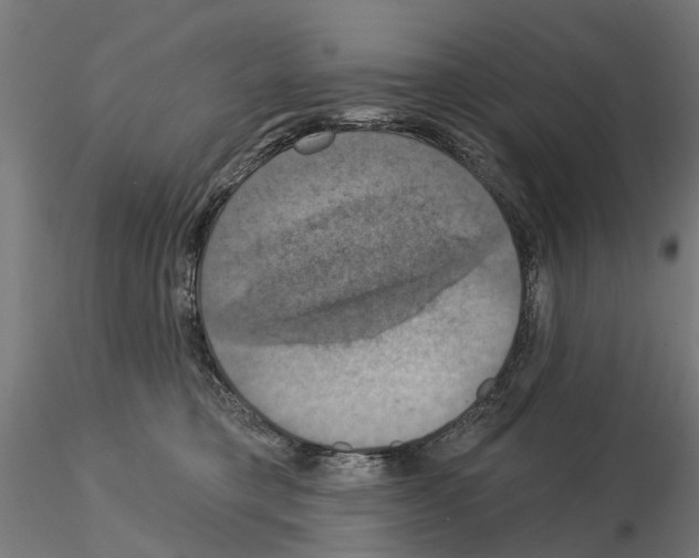 X0000115200421200912091139