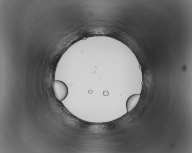 X0000115200422200912091139